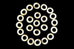 Polo-Rings